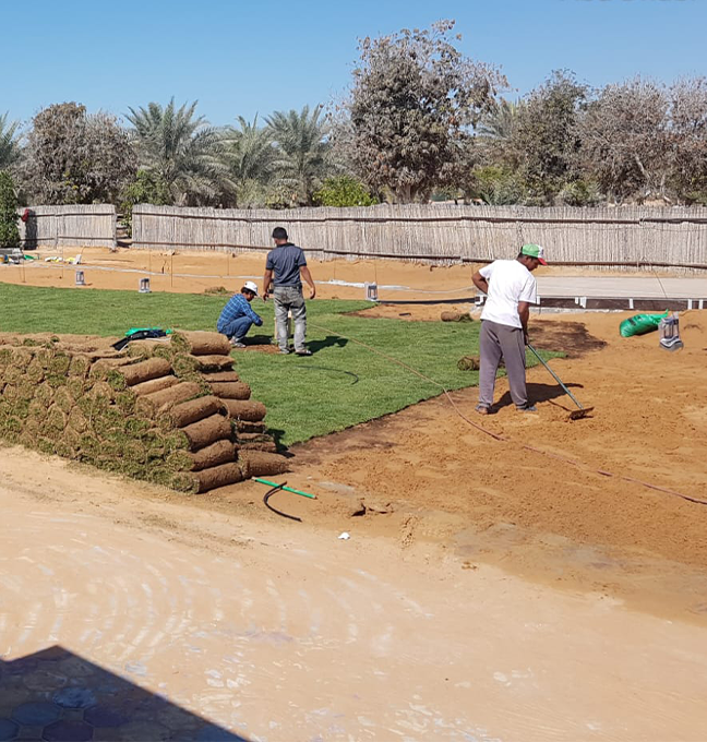 Swimming Pools Image 11