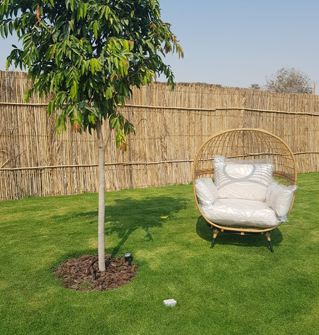 Swimming Pools Image 7